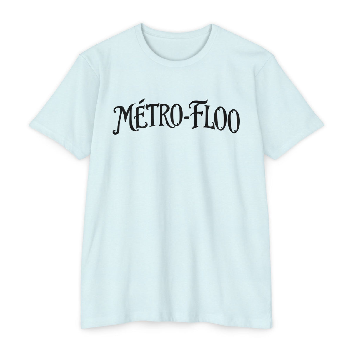 Metro-Floo Vintage Script Tee — Ministry of Magic Theme-Park Graphic Tee